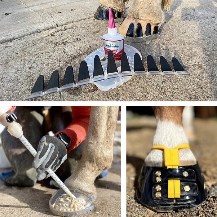 Hoof Wear Accessories