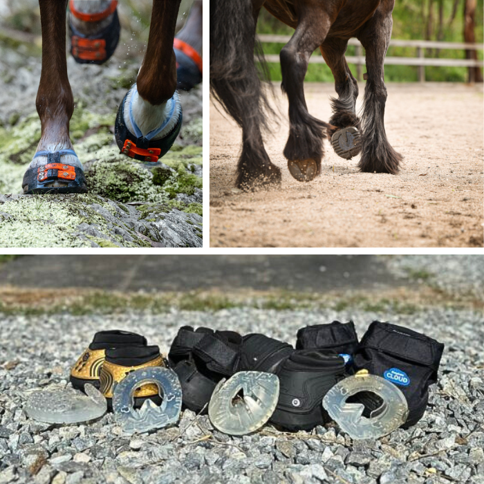 Hoof Wear