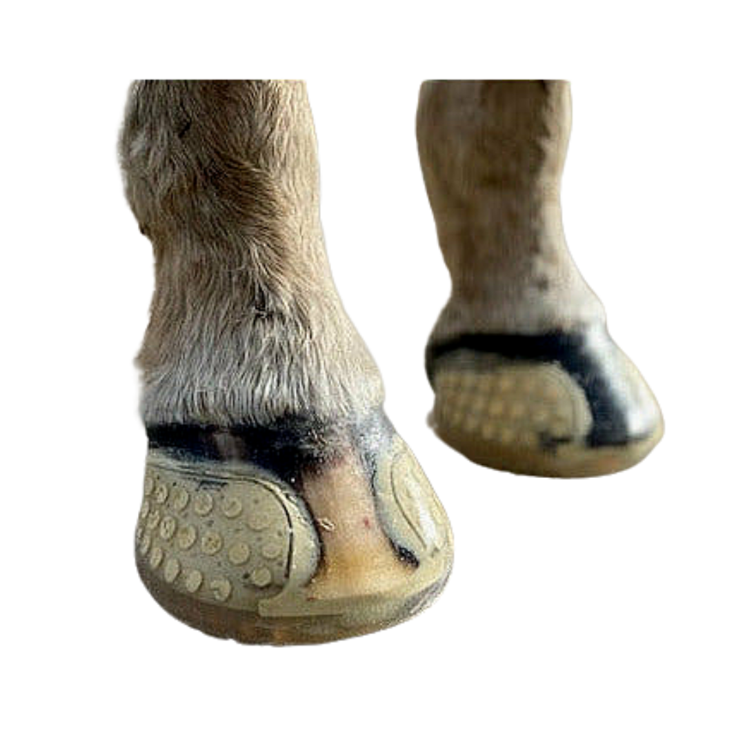 EasyCare EasyShoe Versa Grip Glue on Horse