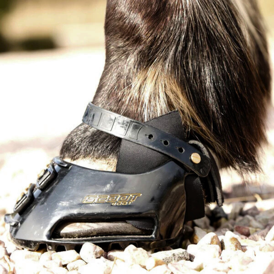 Scoot Boot Hybrid Gaiter on Horse 1