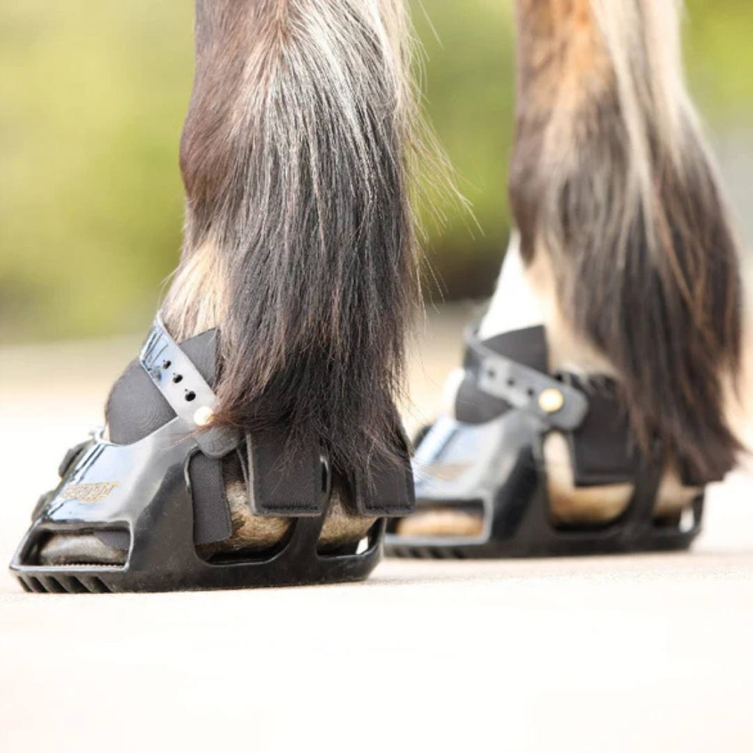 Scoot Boot Hybrid Gaiter on Horse 2