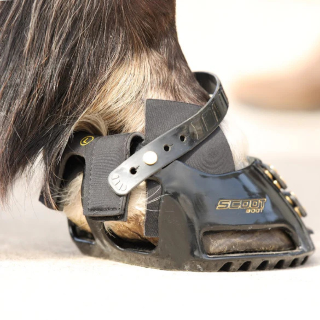 Scoot Boot Hybrid Gaiter on Horse 3