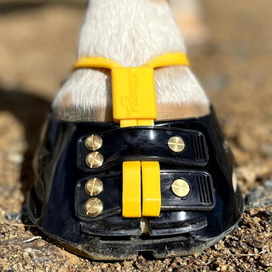 Scoot Boot Mud Strap Collar Pack in Yellow on Horse