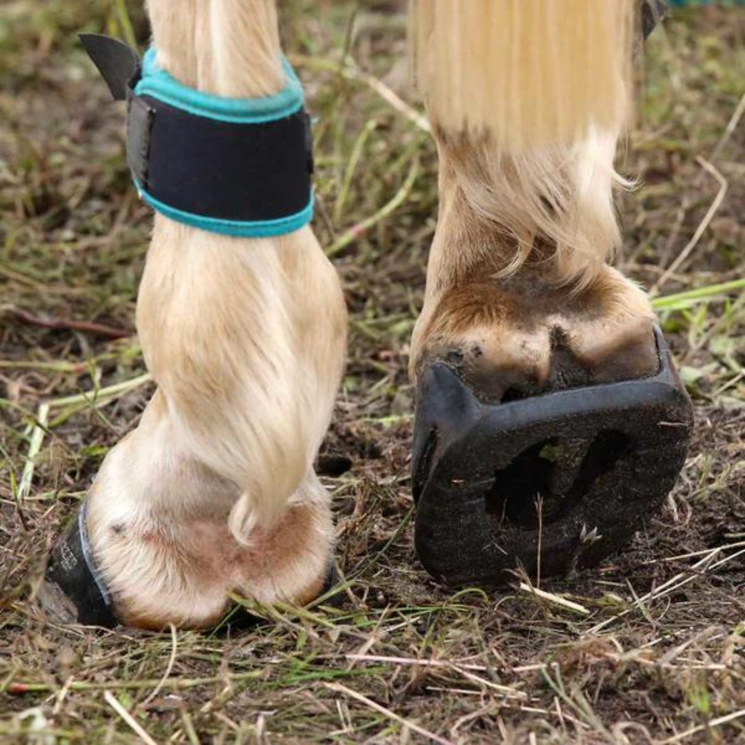 Scoot Boot Skins Glue-On Heel View on Horse