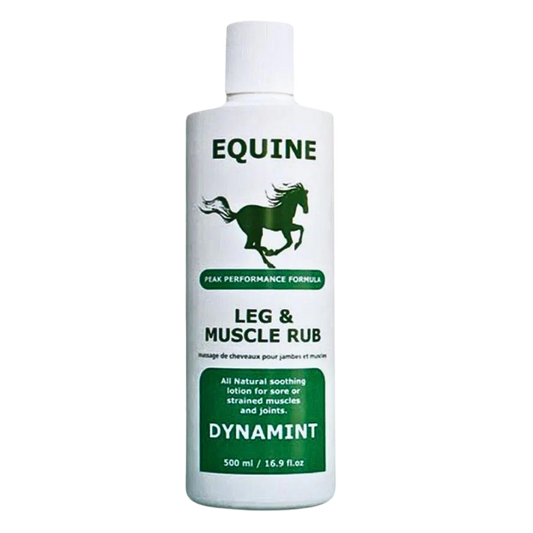 Equine Dynamint Leg and Muscle Rub