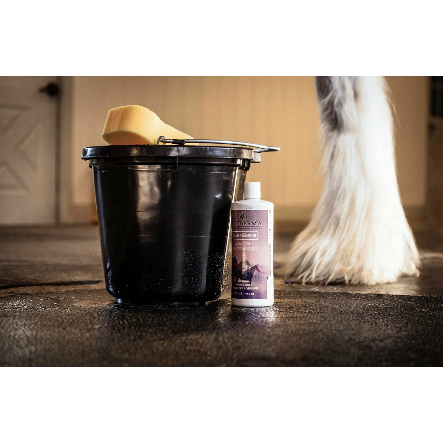 Equiderma Neem Shampoo for Horses - 32oz Dark Slate Gray